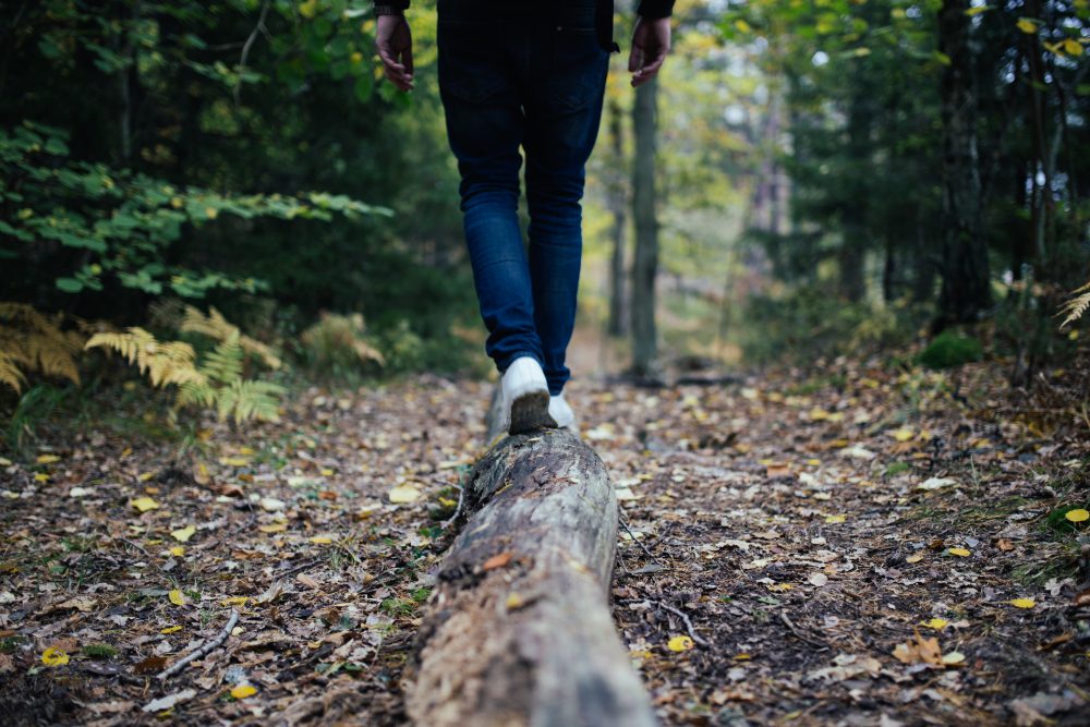 Balancing on a log